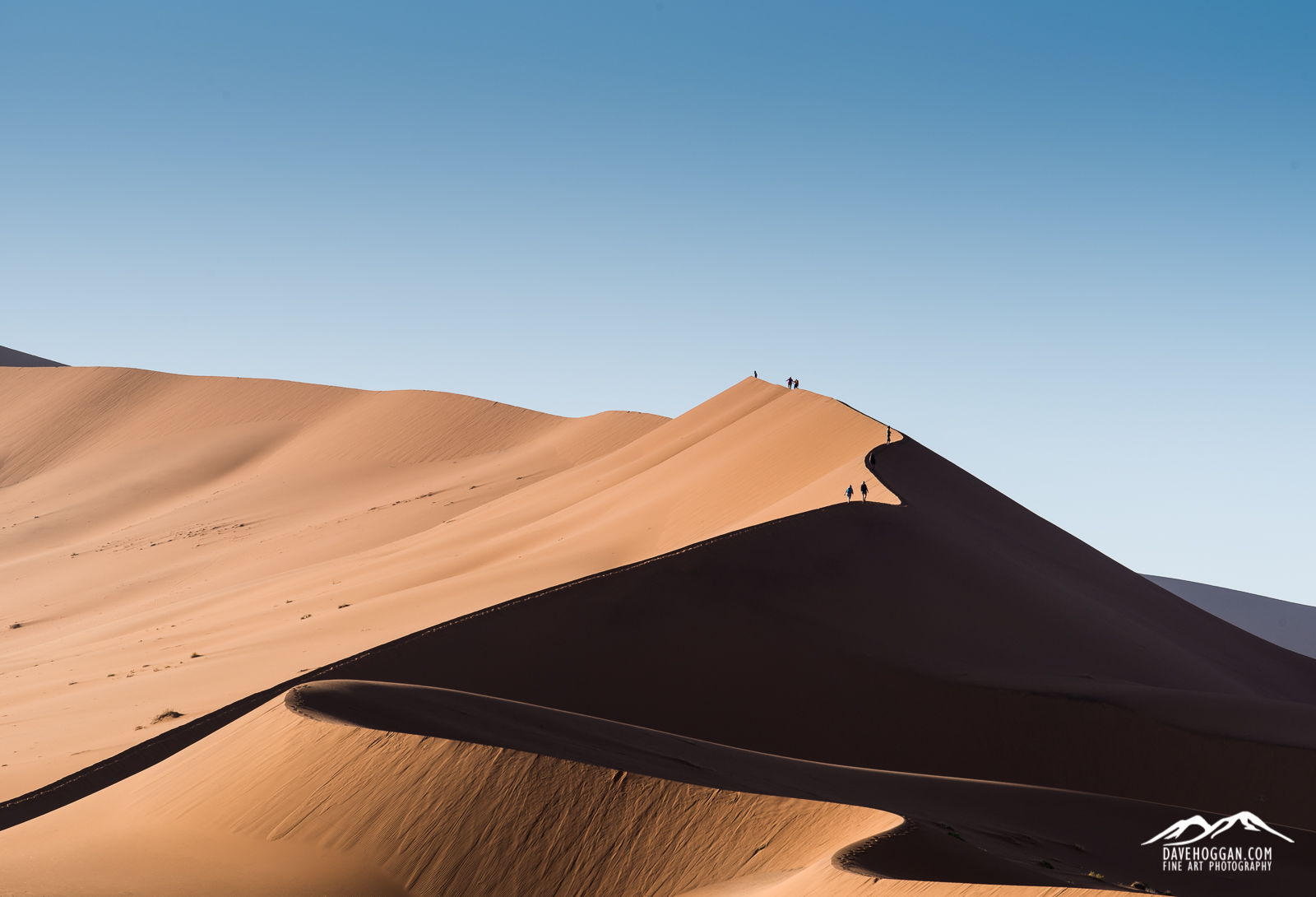 Namib Desert Dune
