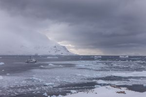 Neko Bay, Antarctica.