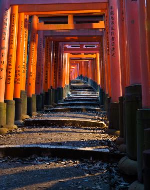 Fushimi Inari, Kyoto.